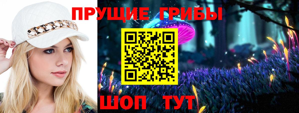 Кореновск  Псилоцибиновые грибы Cubensis  Вход с VPN  даркнет сайт  Галлюциногенные грибы Magic Shrooms 